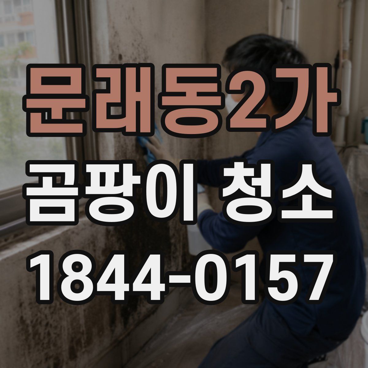 문래동2가 곰팡이 청소
