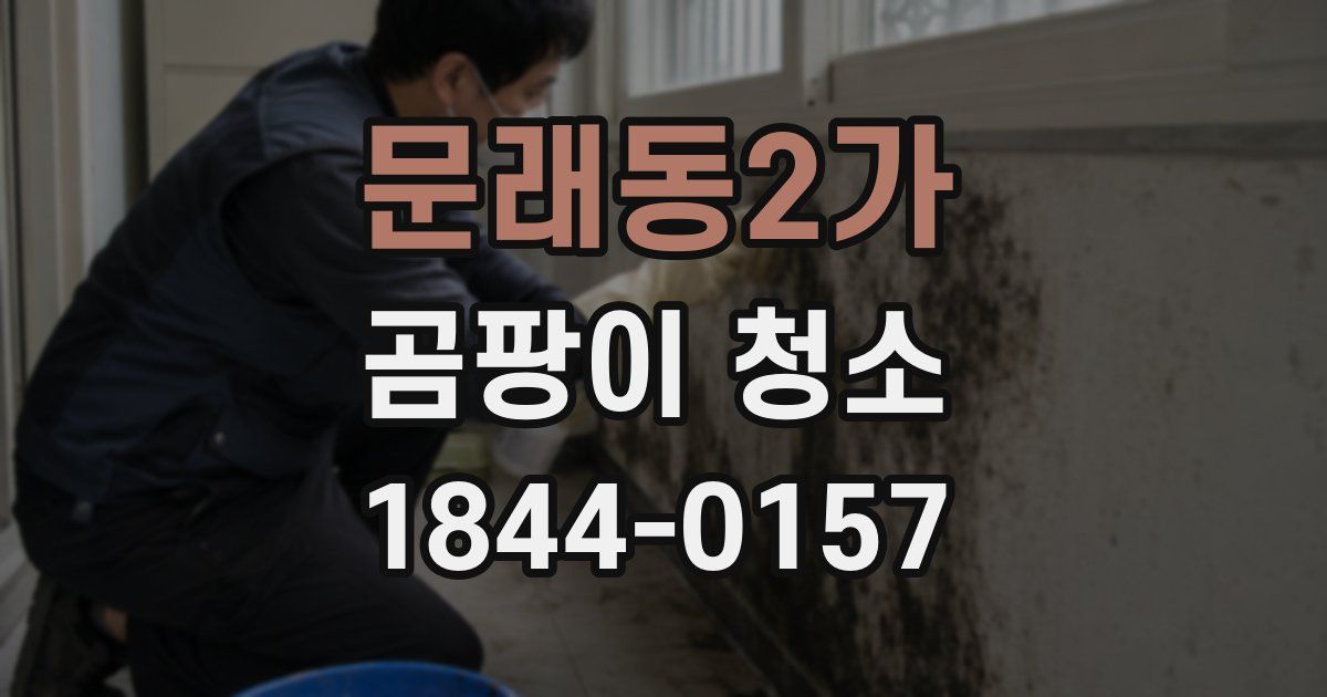 문래동2가 곰팡이 청소