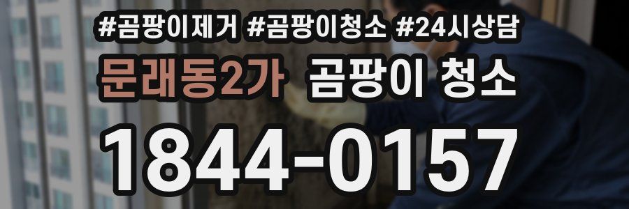 문래동2가 곰팡이 청소