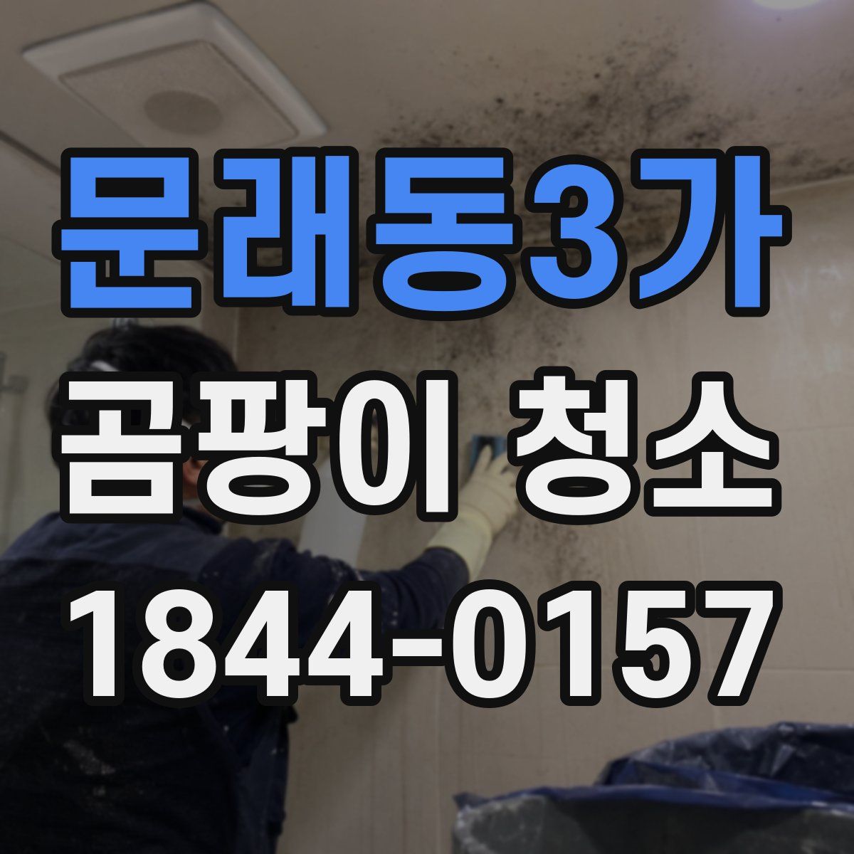 문래동3가 곰팡이 청소