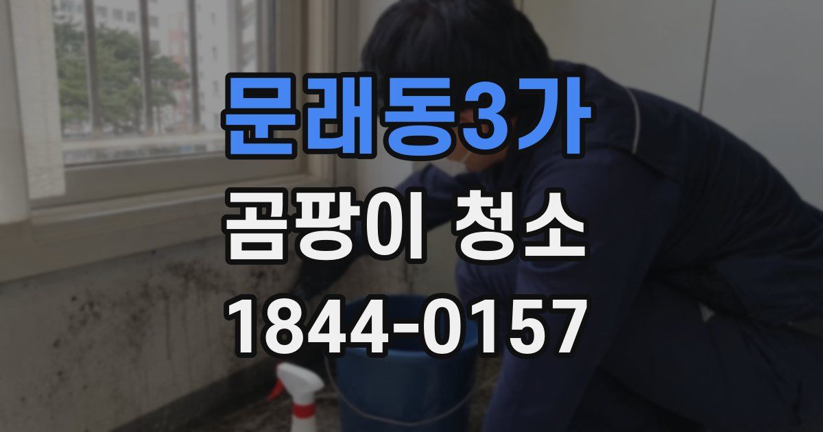 문래동3가 곰팡이 청소