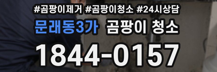 문래동3가 곰팡이 청소