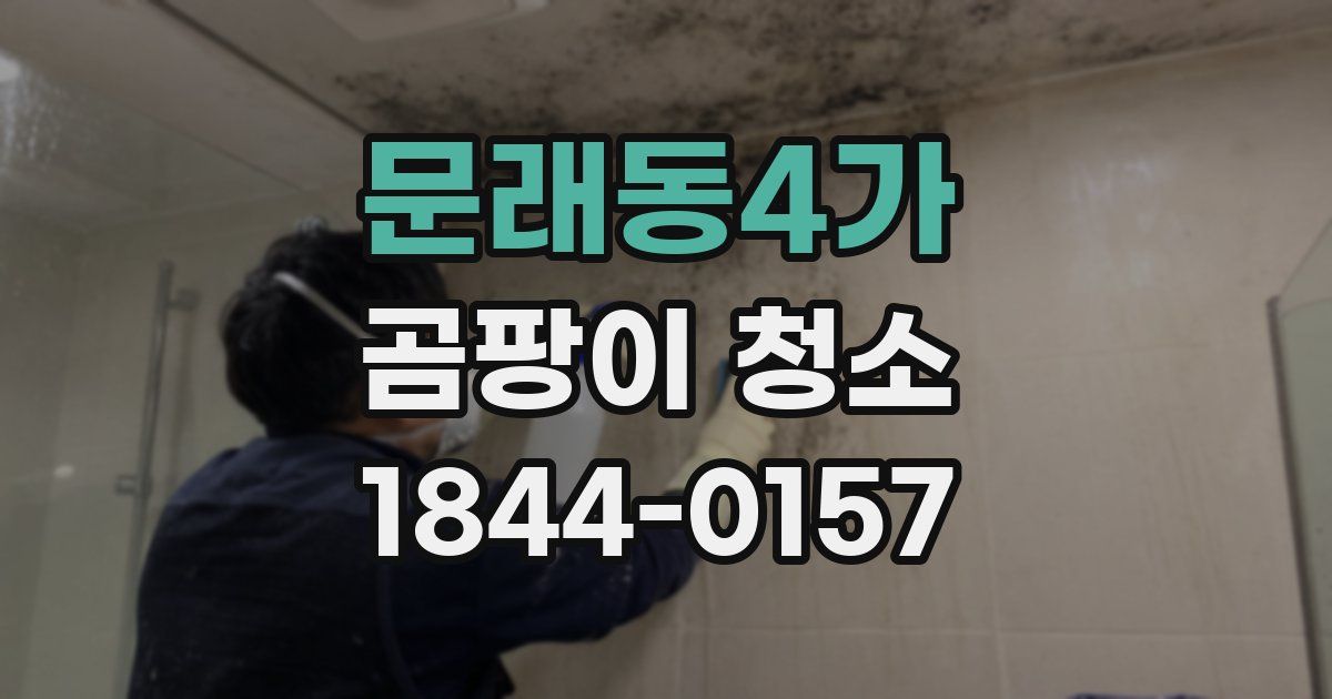 문래동4가 곰팡이 청소