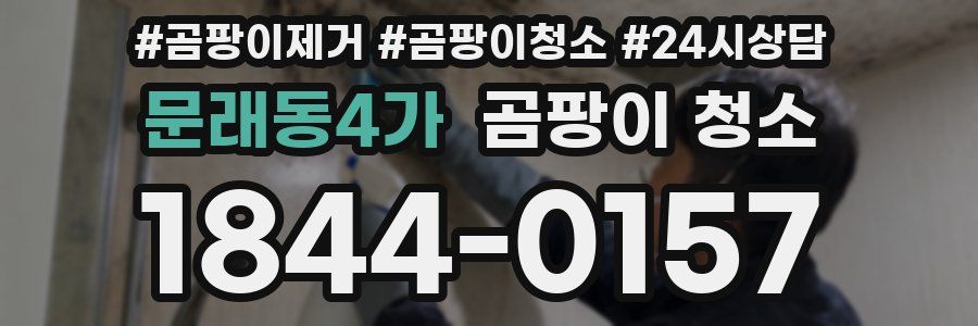 문래동4가 곰팡이 청소
