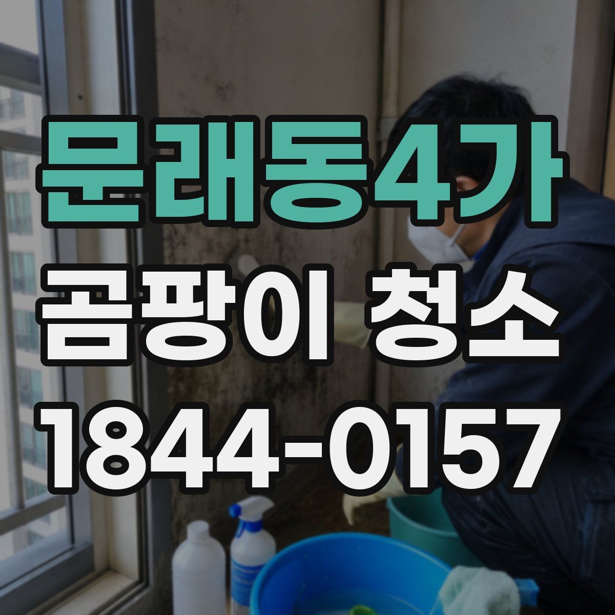 문래동4가 곰팡이 청소
