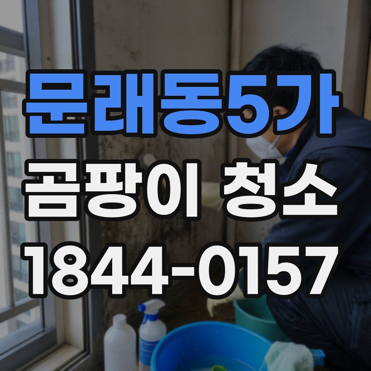 문래동5가 곰팡이 청소