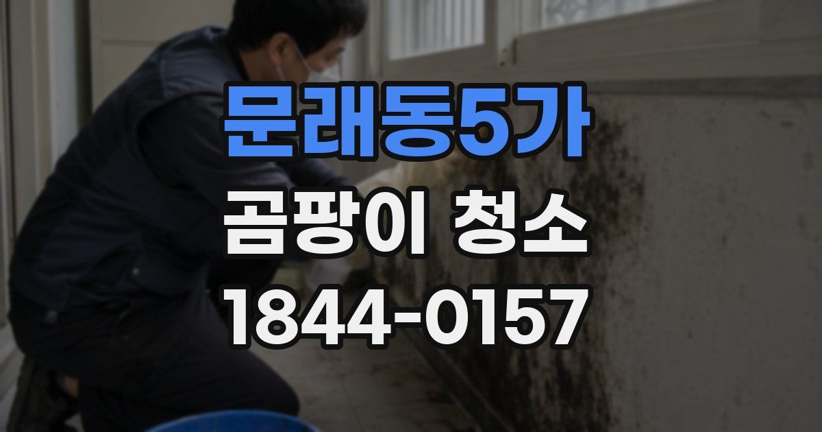 문래동5가 곰팡이 청소