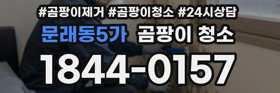 문래동5가 곰팡이 청소