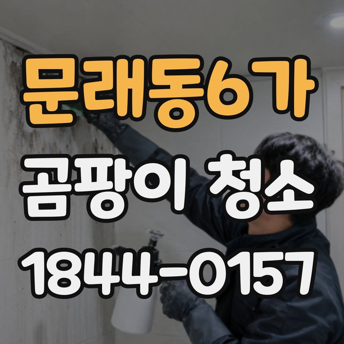 문래동6가 곰팡이 청소 욕실 천장 얼룩을 안전하게 다루는 순서