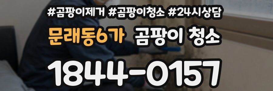 문래동6가 곰팡이 청소