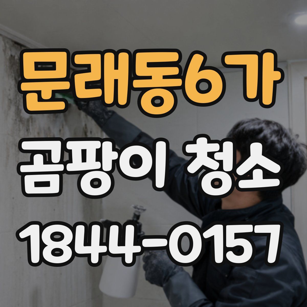 문래동6가 곰팡이 청소