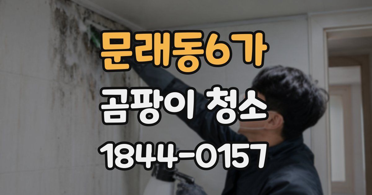 문래동6가 곰팡이 청소