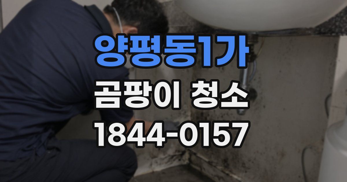 양평동1가 곰팡이 청소