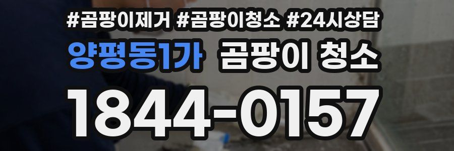양평동1가 곰팡이 청소
