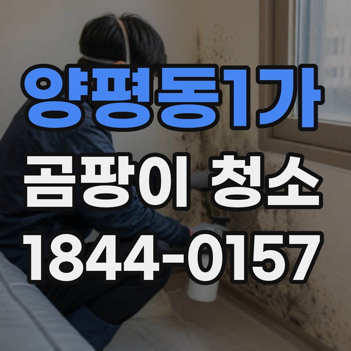 양평동1가 곰팡이 청소