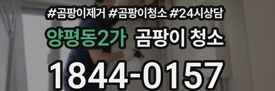 양평동2가 곰팡이 청소