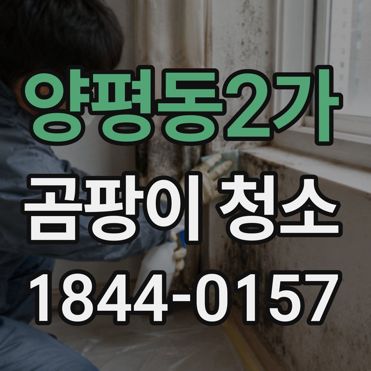 양평동2가 곰팡이 청소