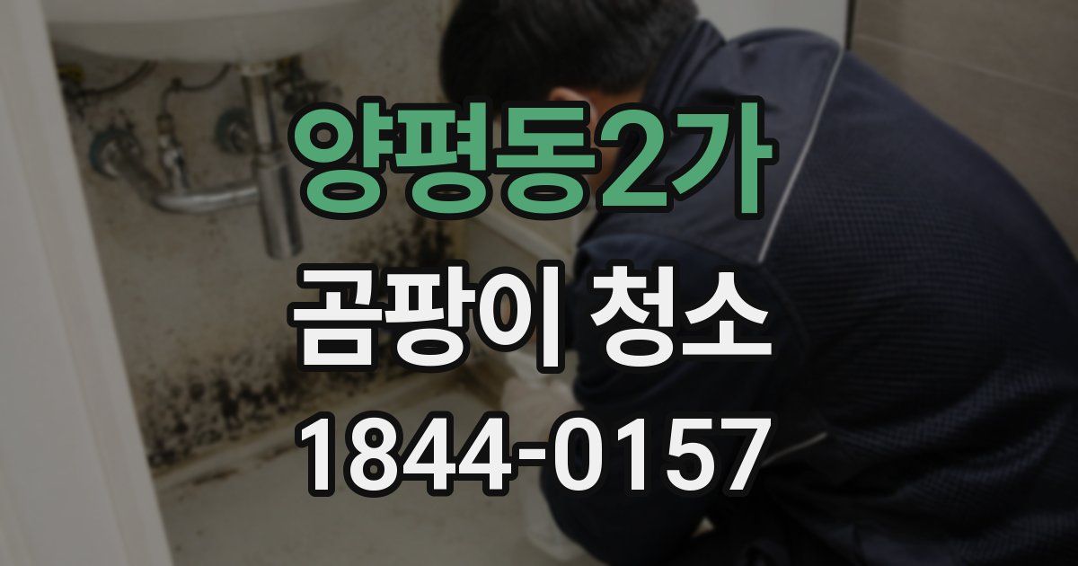 양평동2가 곰팡이 청소