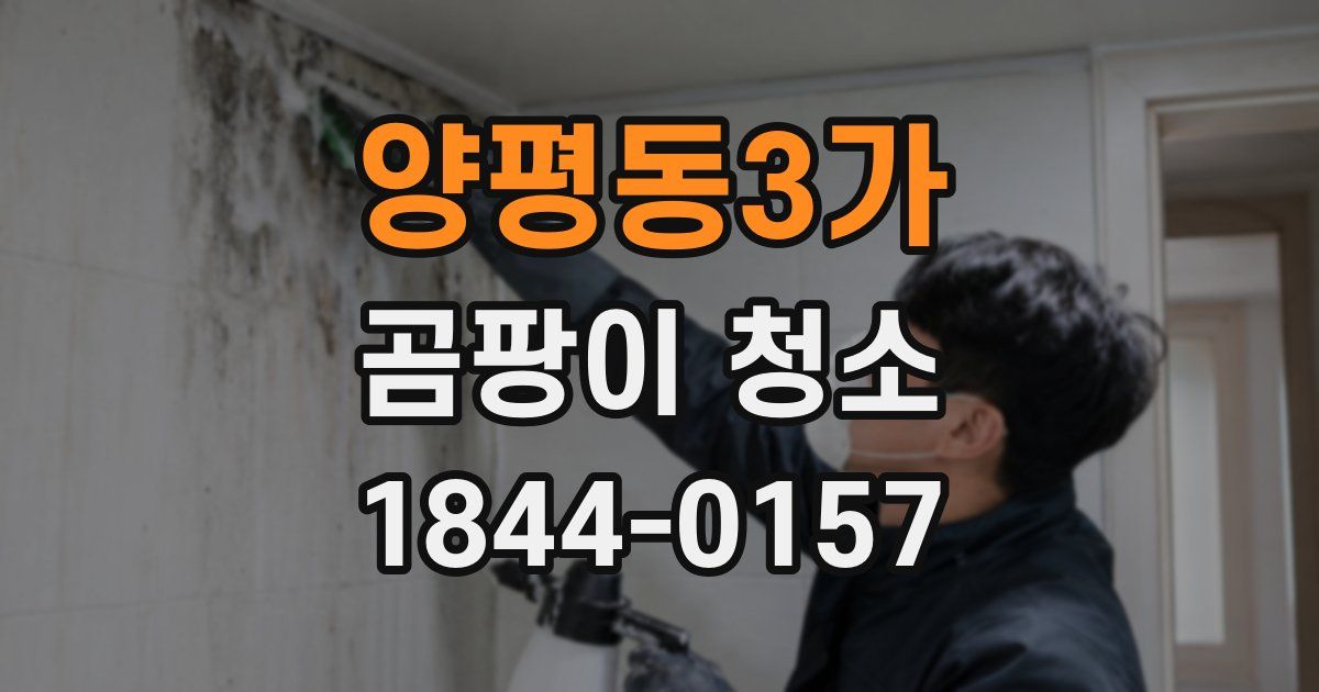 양평동3가 곰팡이 청소