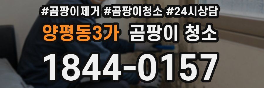 양평동3가 곰팡이 청소