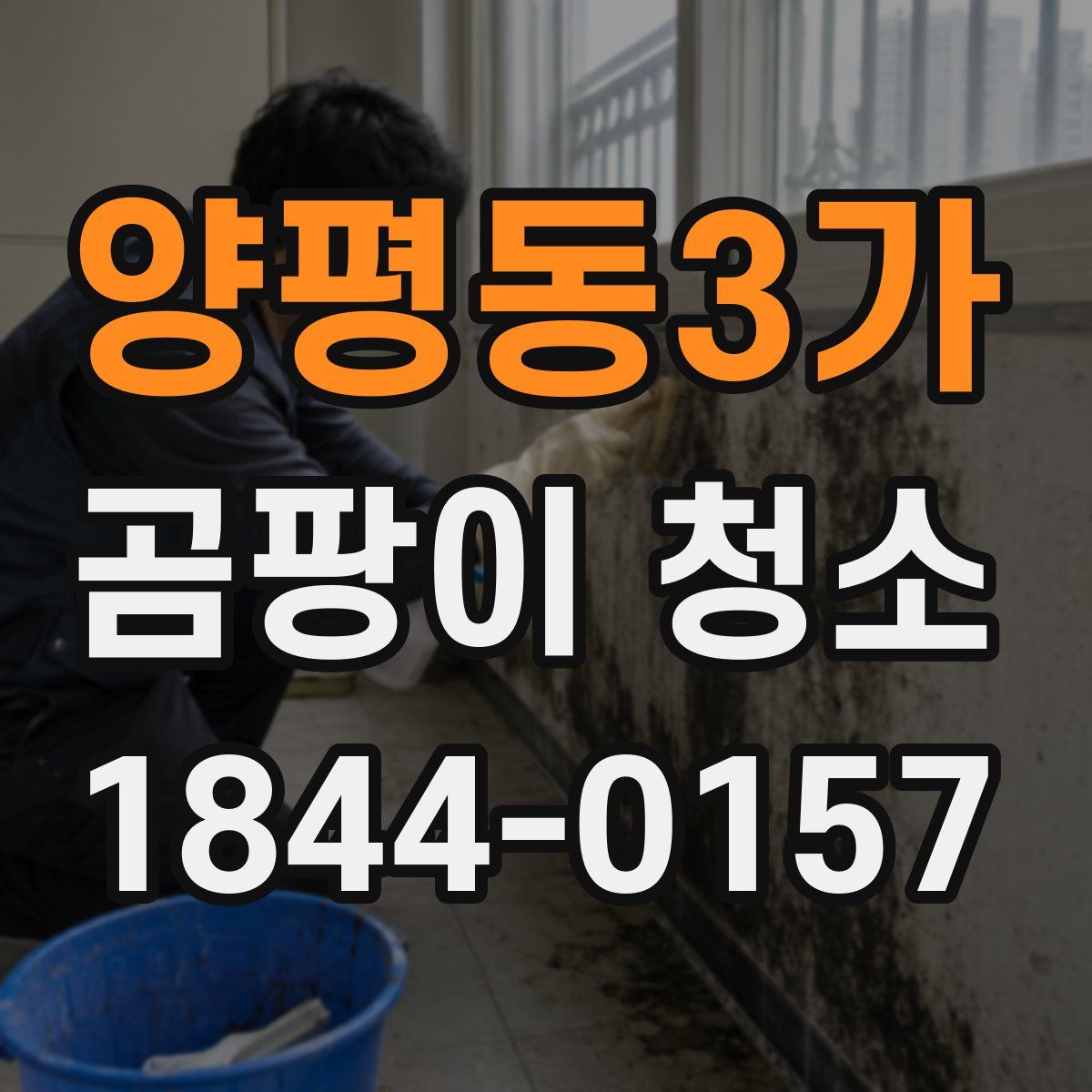양평동3가 곰팡이 청소