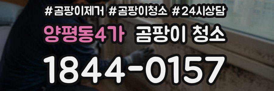 양평동4가 곰팡이 청소