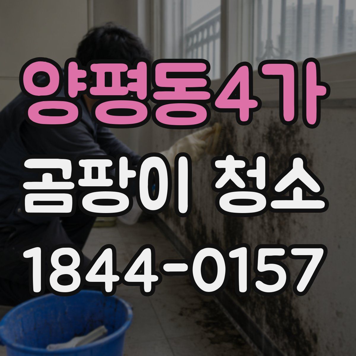 양평동4가 곰팡이 청소