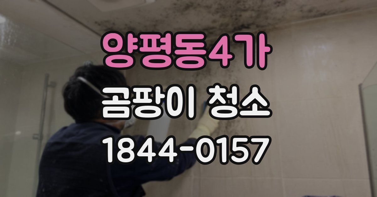 양평동4가 곰팡이 청소