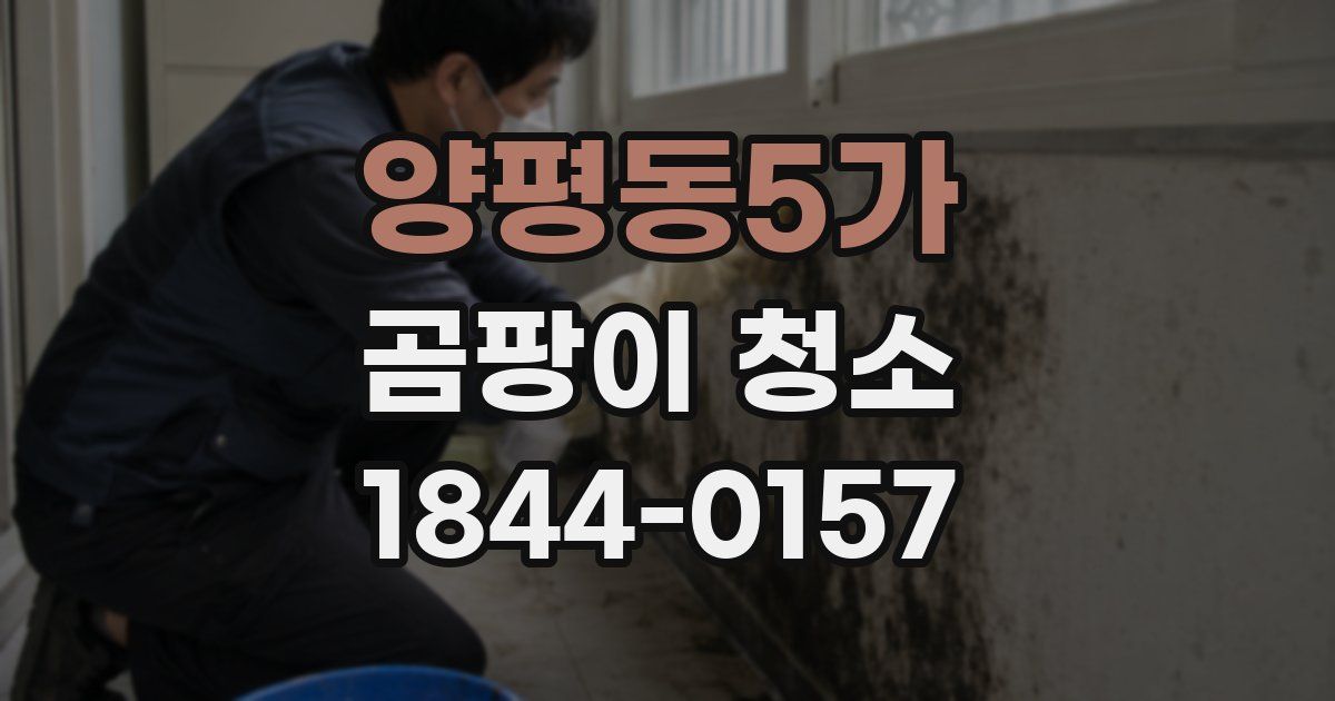양평동5가 곰팡이 청소