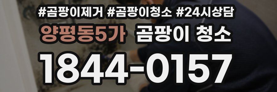 양평동5가 곰팡이 청소