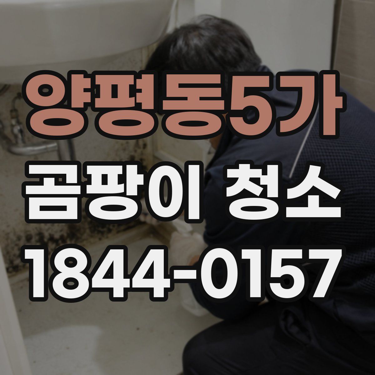 양평동5가 곰팡이 청소
