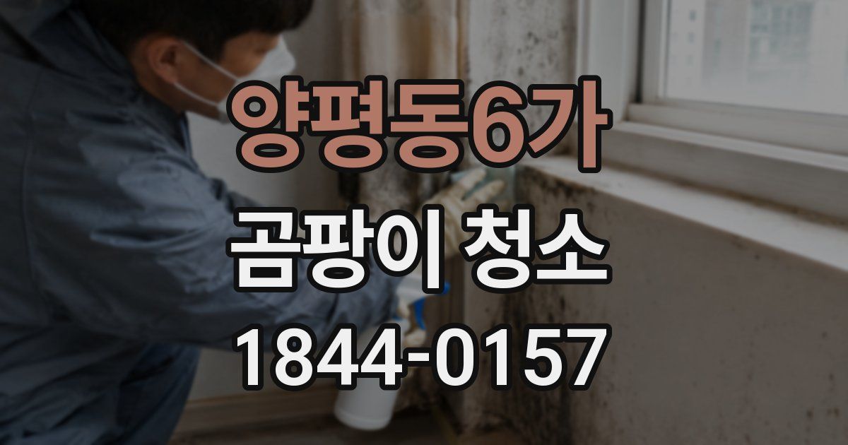 양평동6가 곰팡이 청소