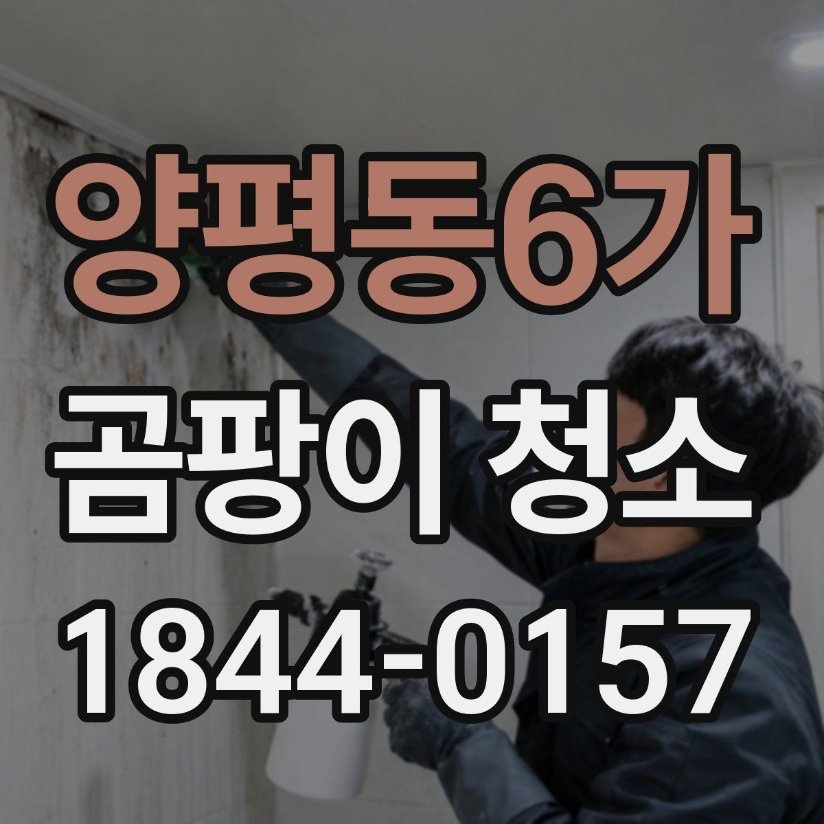 양평동6가 곰팡이 청소