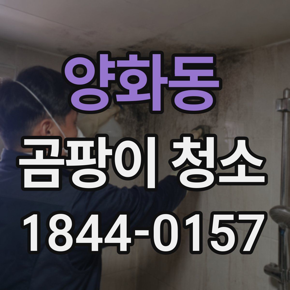 양화동 곰팡이 청소