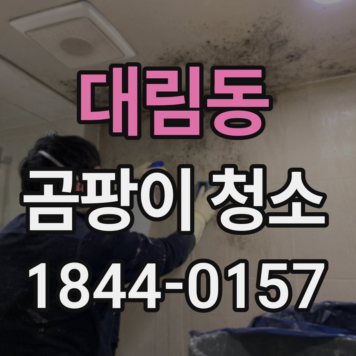 대림동 곰팡이 청소