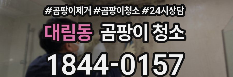 대림동 곰팡이 청소