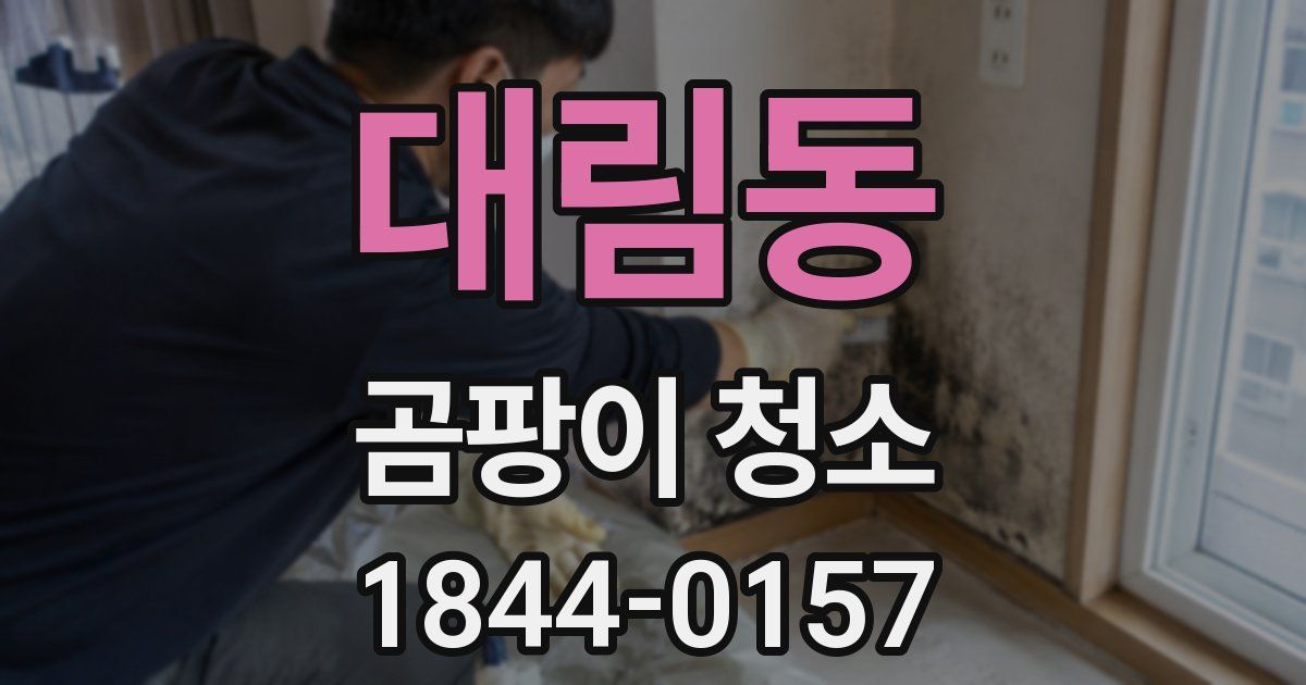 대림동 곰팡이 청소