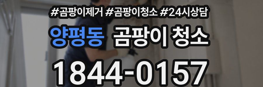 양평동 곰팡이 청소