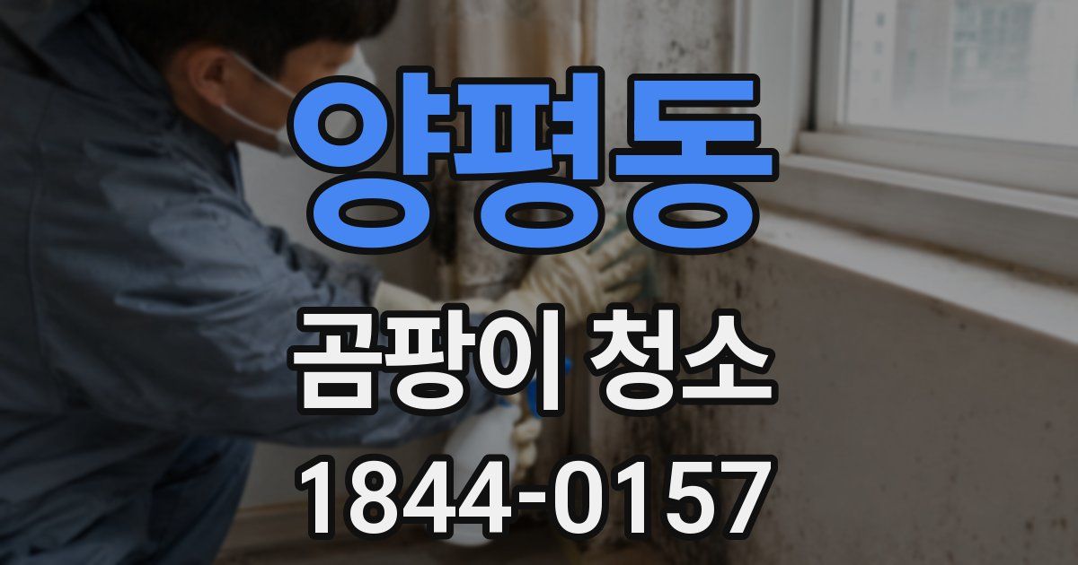 양평동 곰팡이 청소