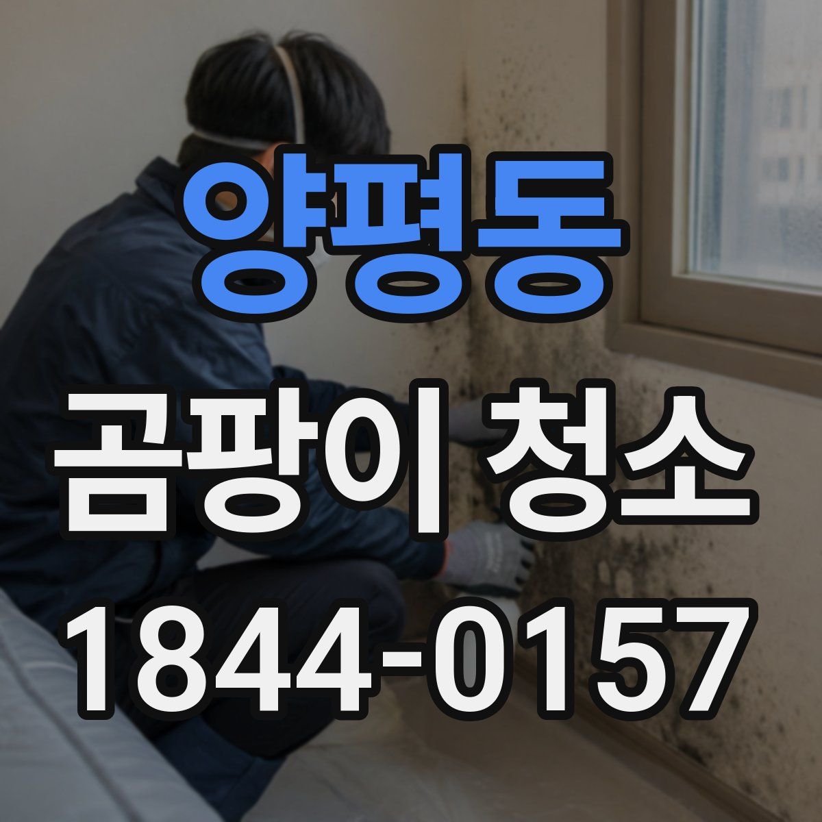 양평동 곰팡이 청소