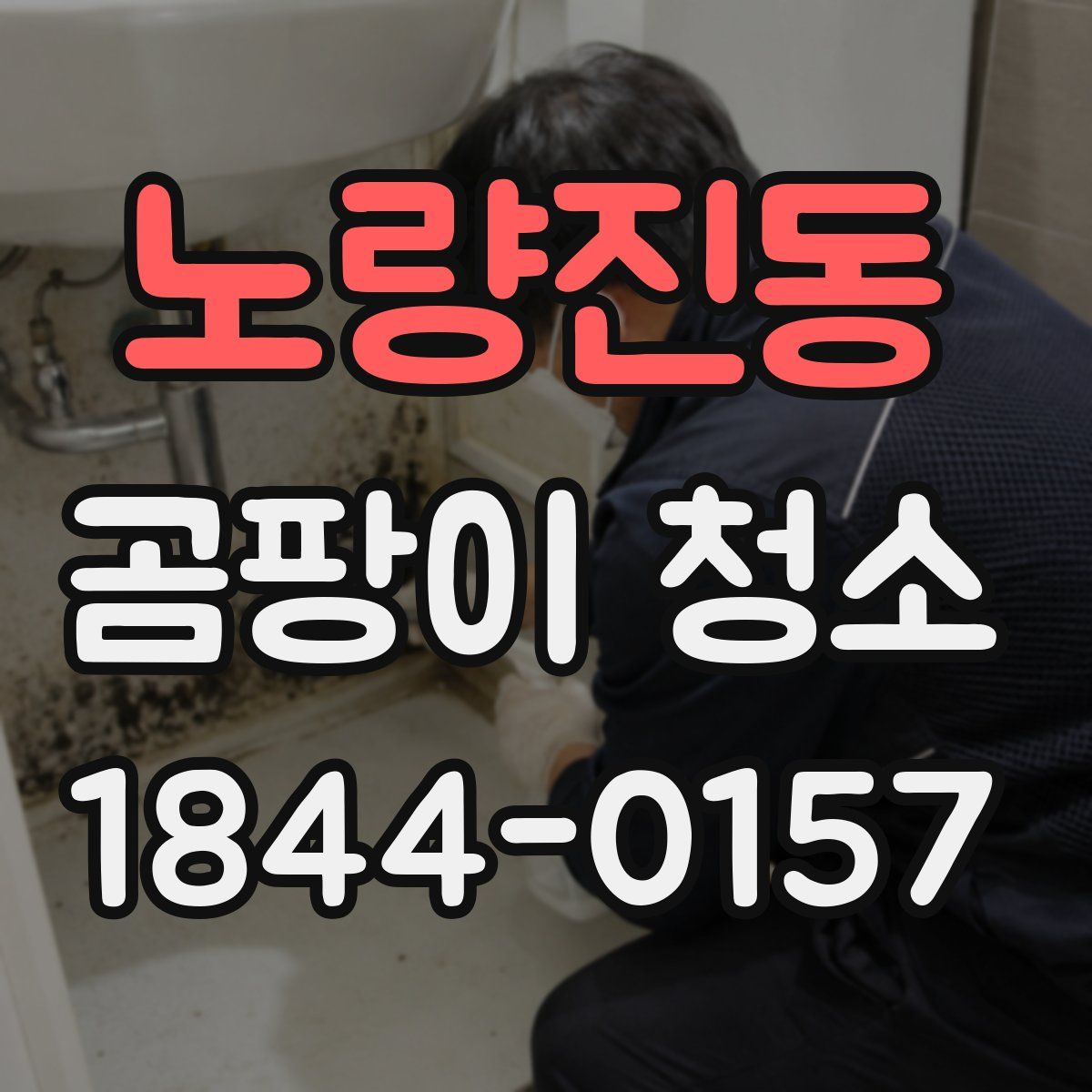 노량진동 곰팡이 청소