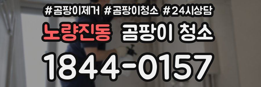 노량진동 곰팡이 청소
