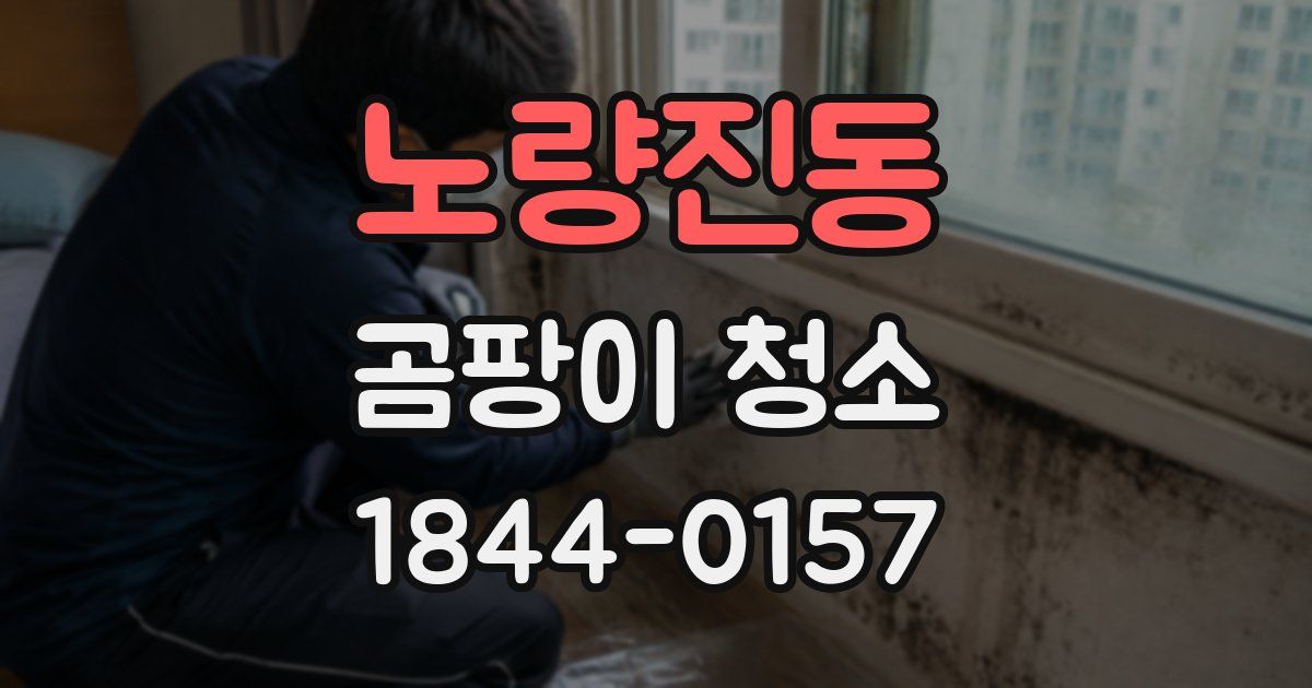 노량진동 곰팡이 청소
