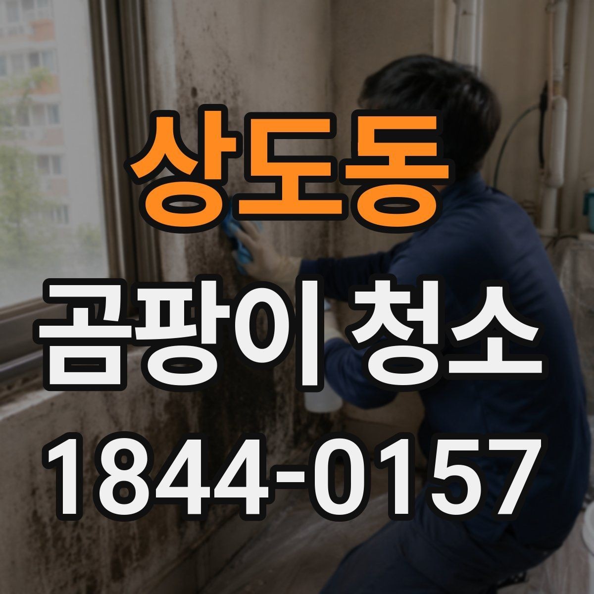 상도동 곰팡이 청소 주방은 음식물 오염과 곰팡이를 구분해서 봐야 함