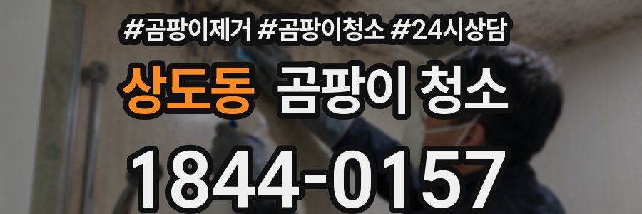 상도동 곰팡이 청소