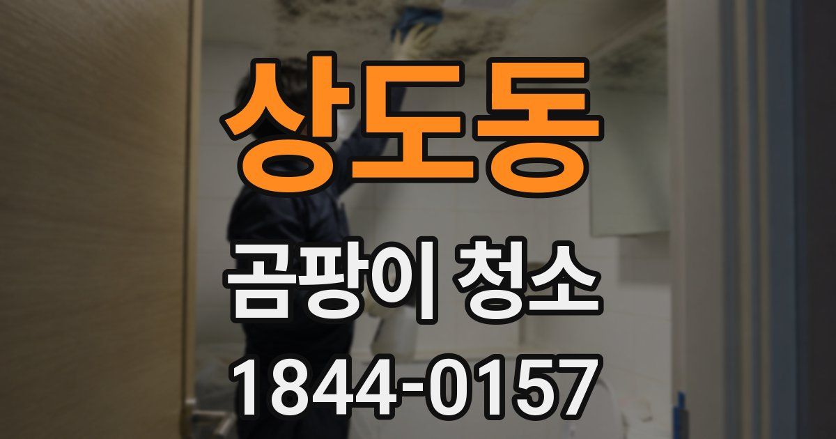 상도동 곰팡이 청소