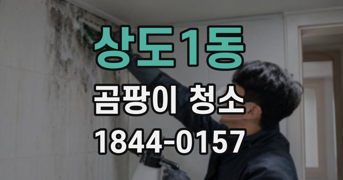 상도1동 곰팡이 청소