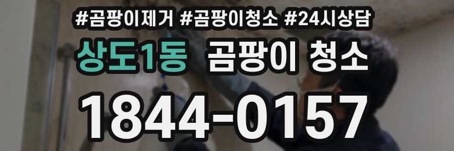 상도1동 곰팡이 청소