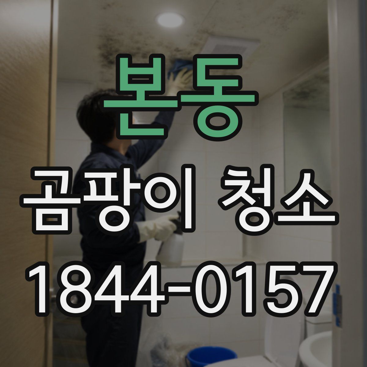본동 곰팡이 청소