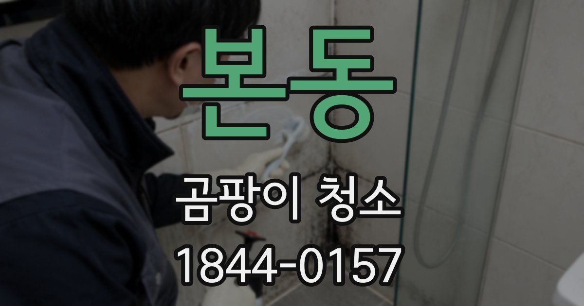 본동 곰팡이 청소